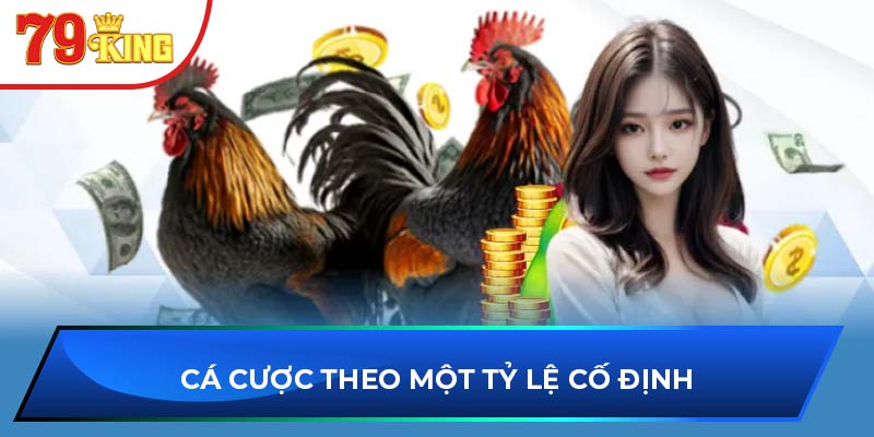 Cá cược theo một tỷ lệ cố định