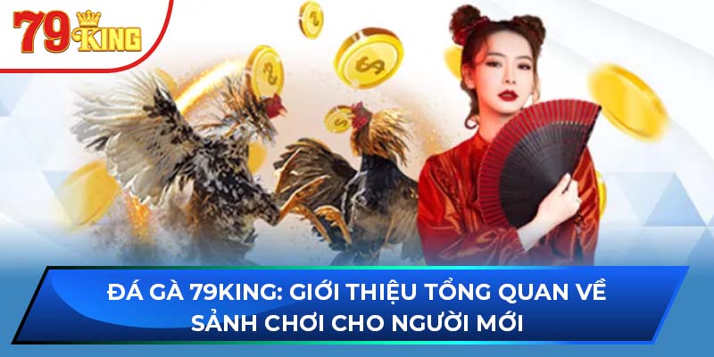 Đá Gà 79KING: Giới Thiệu Tổng Quan Về Sảnh Chơi Cho Người Mới